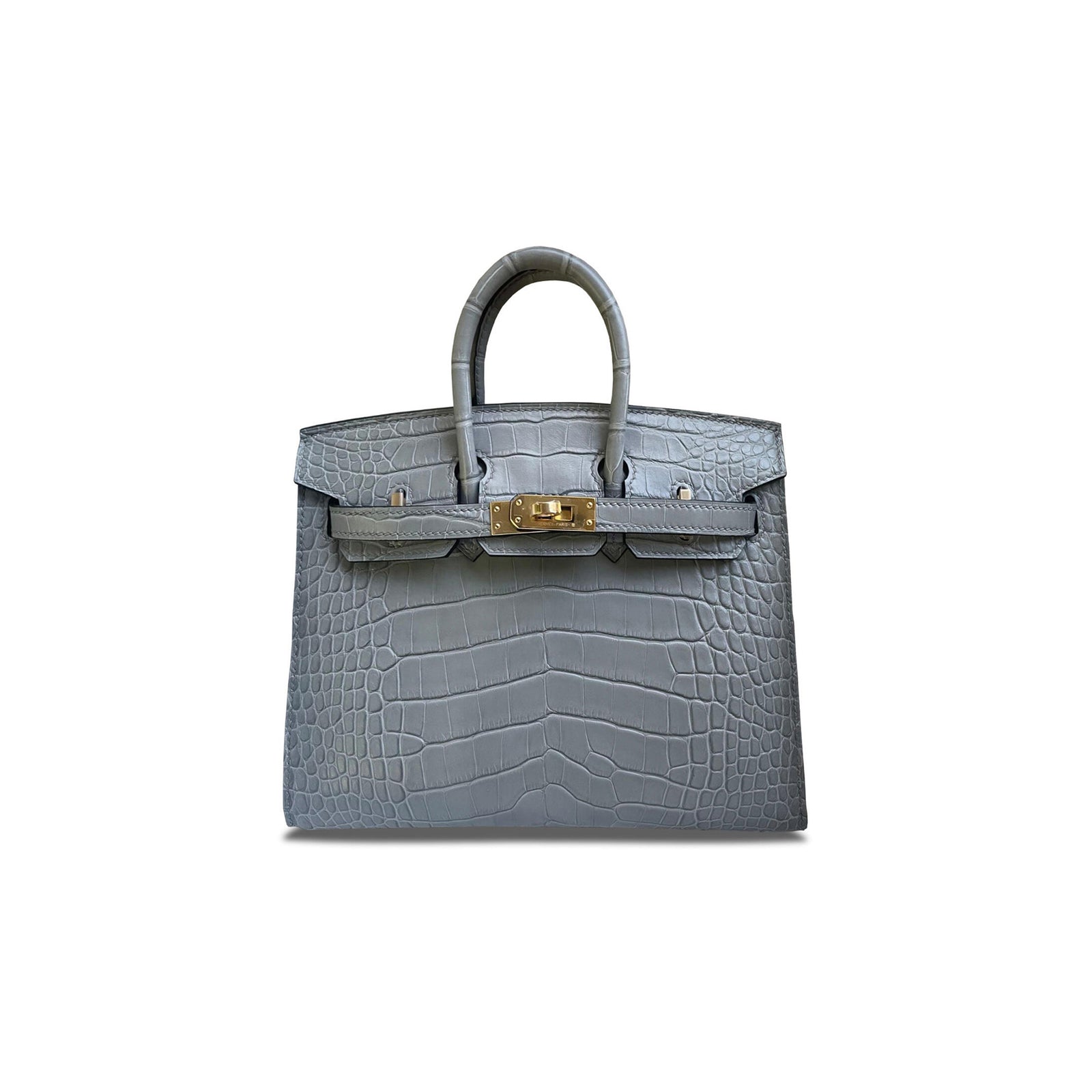 Birkin 20 Matte Alligator Handbag