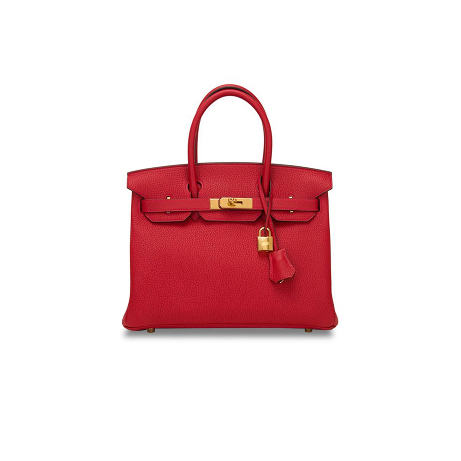 Birkin 25 Handbag
