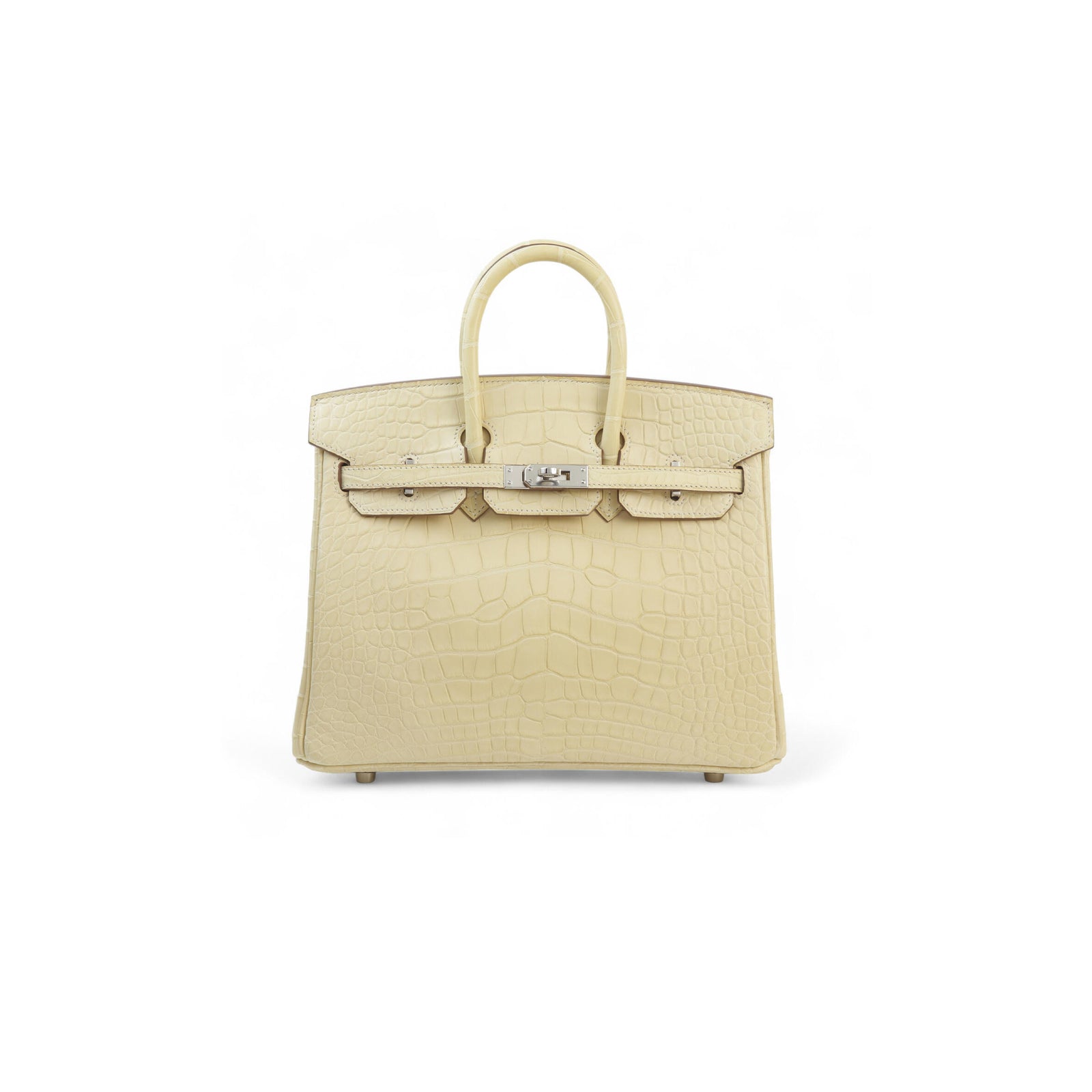 Birkin 20 Matte Alligator Handbag