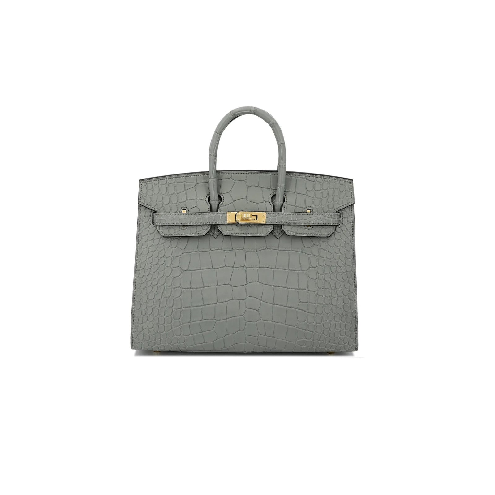 Birkin 20 Matte Alligator Handbag