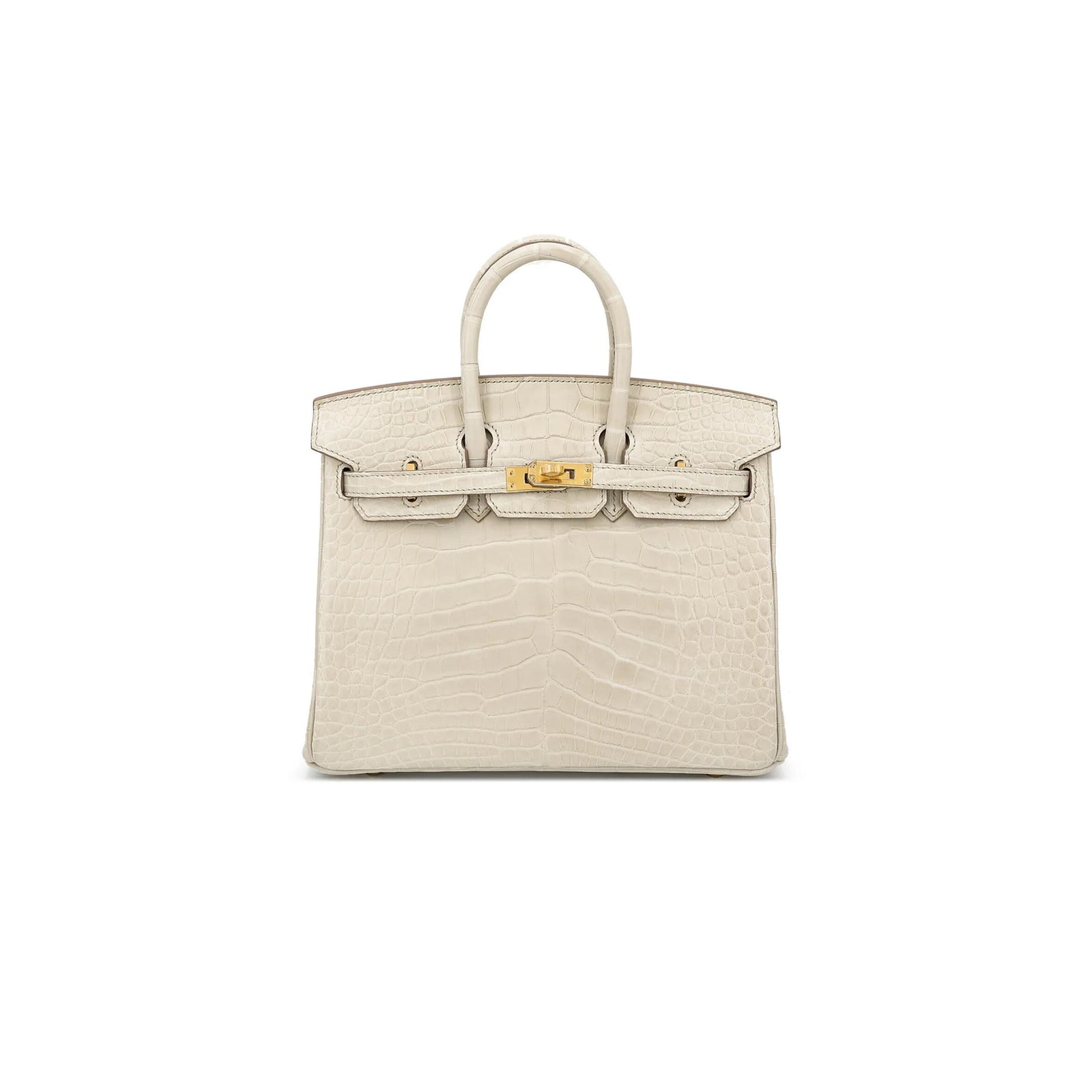Birkin 20 Matte Alligator Handbag