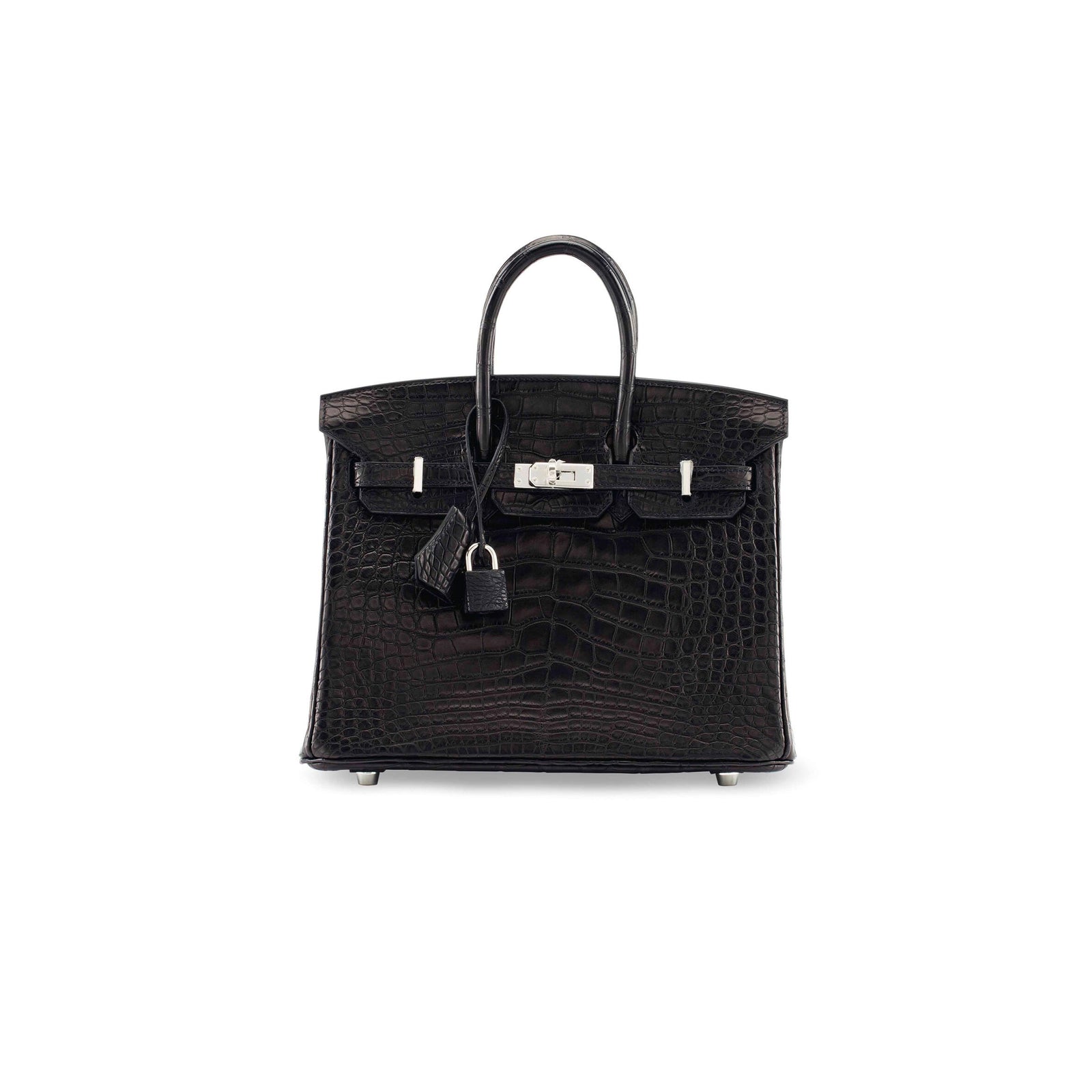 Birkin 20 Matte Alligator Handbag