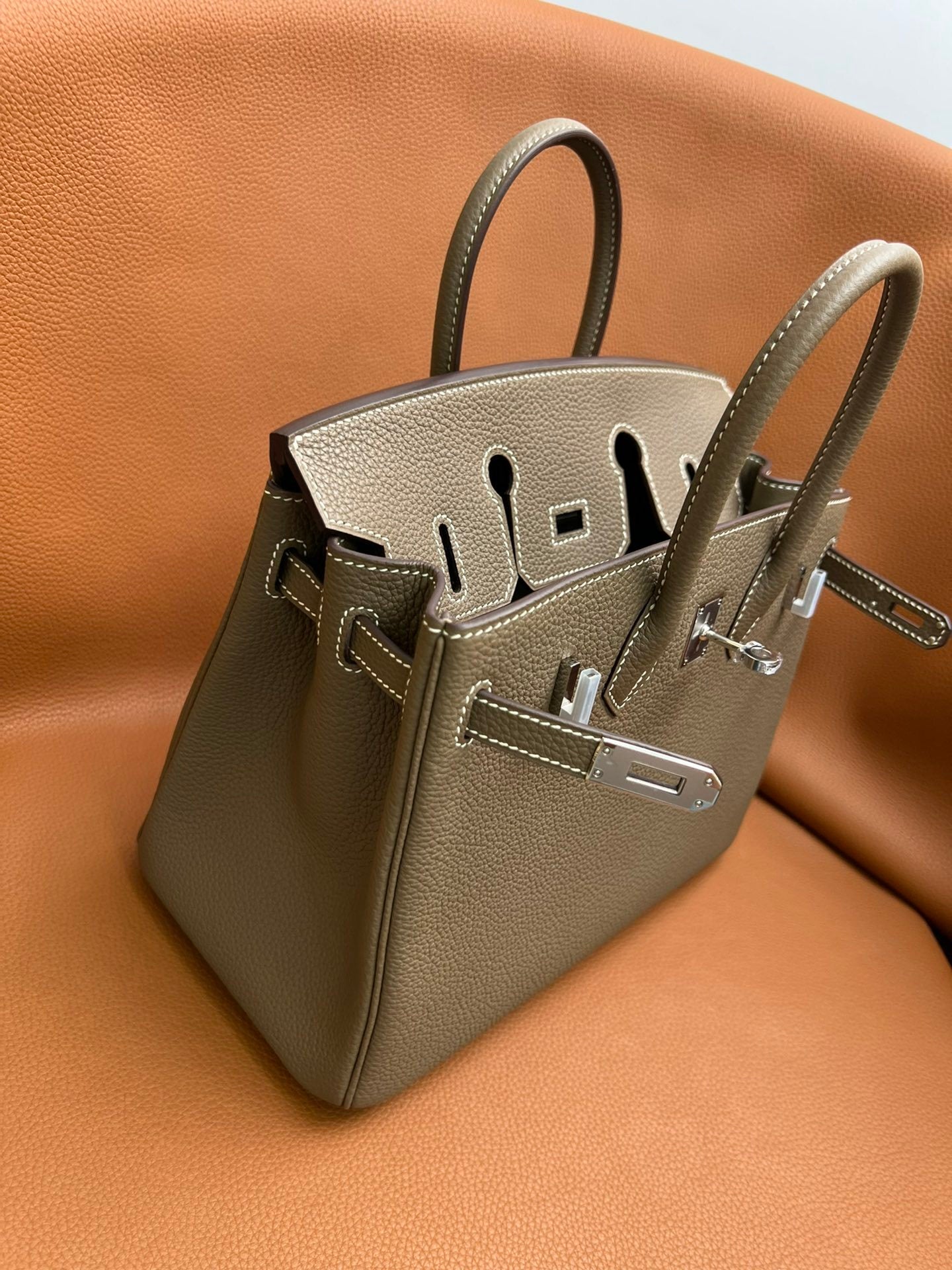 Birkin 25 Handbag