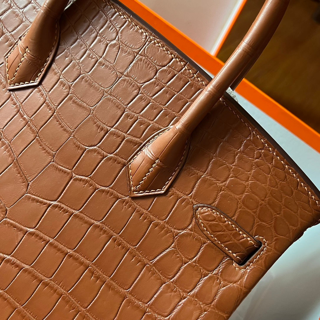 Birkin 20 Matte Alligator Handbag