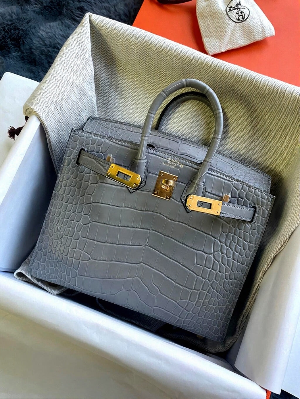 Birkin 20 Matte Alligator Handbag