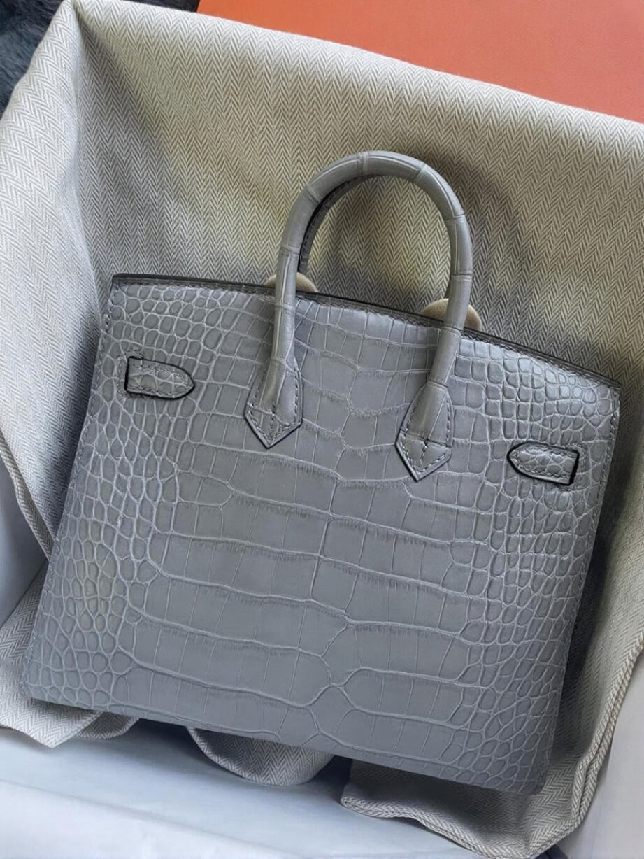 Birkin 20 Matte Alligator Handbag
