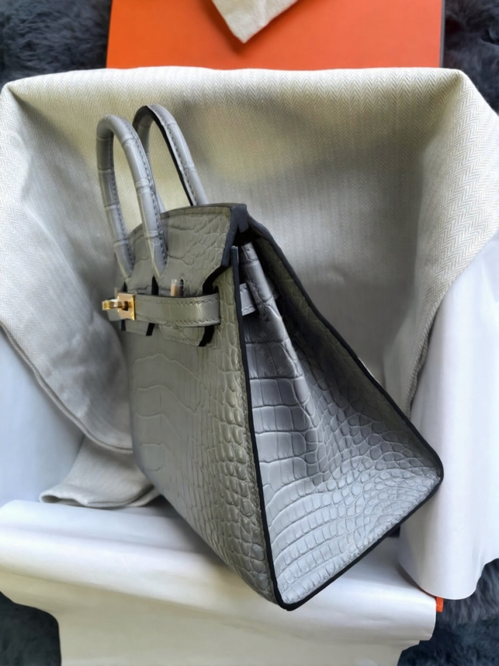 Birkin 20 Matte Alligator Handbag