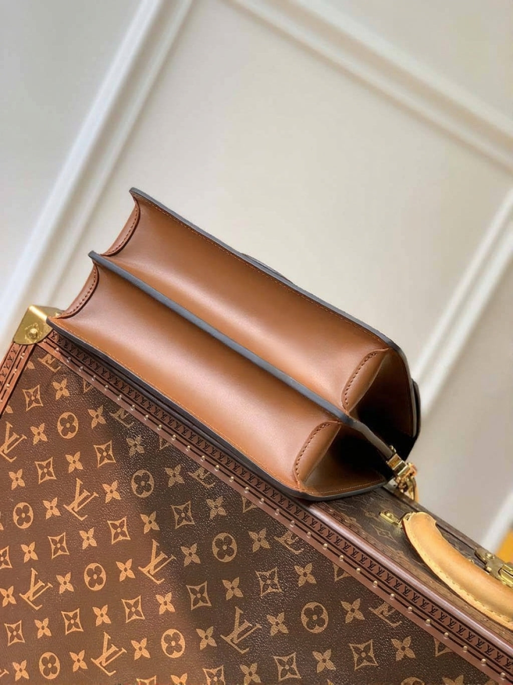 Dauphine MM Shoulder Bag