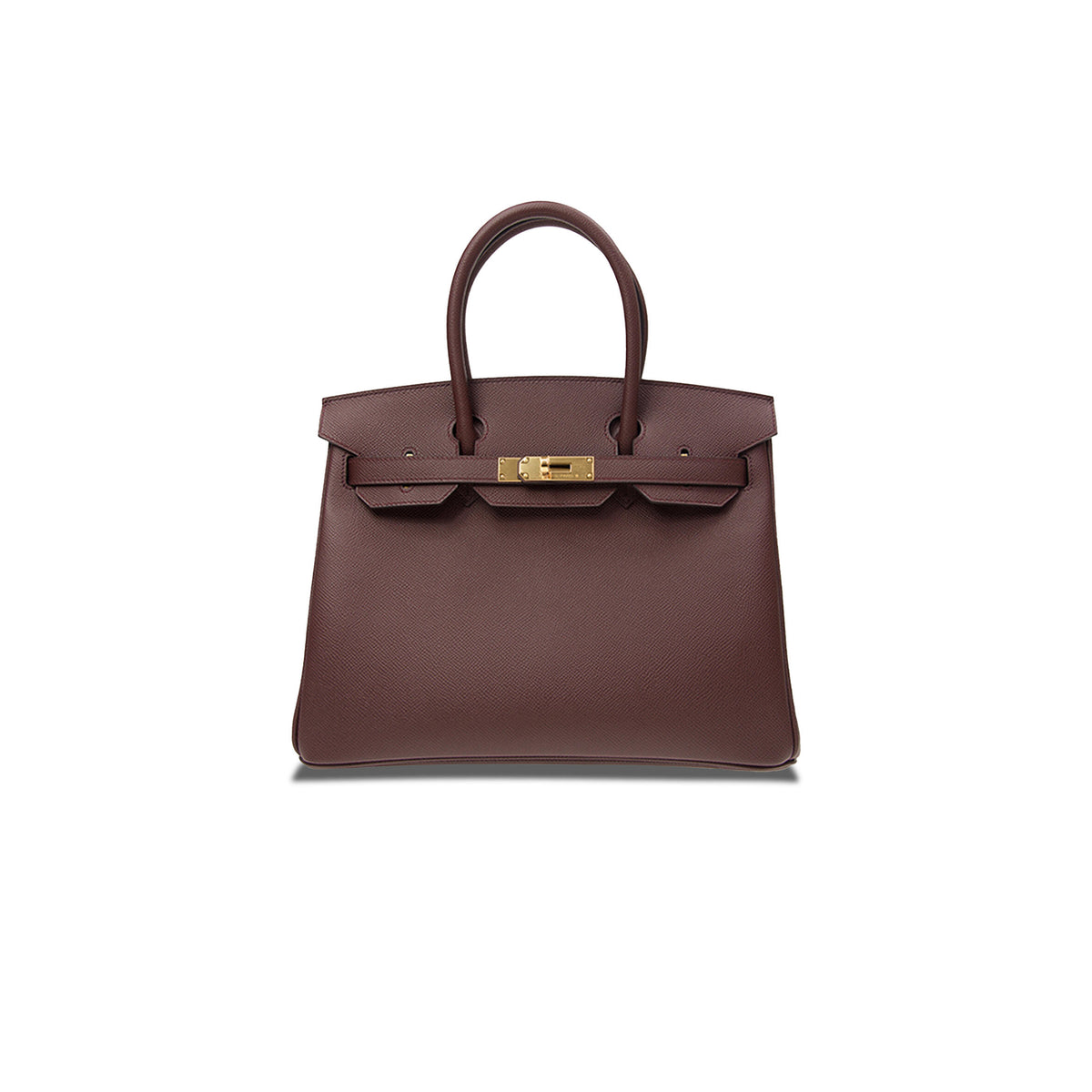 Birkin 25 Handbag