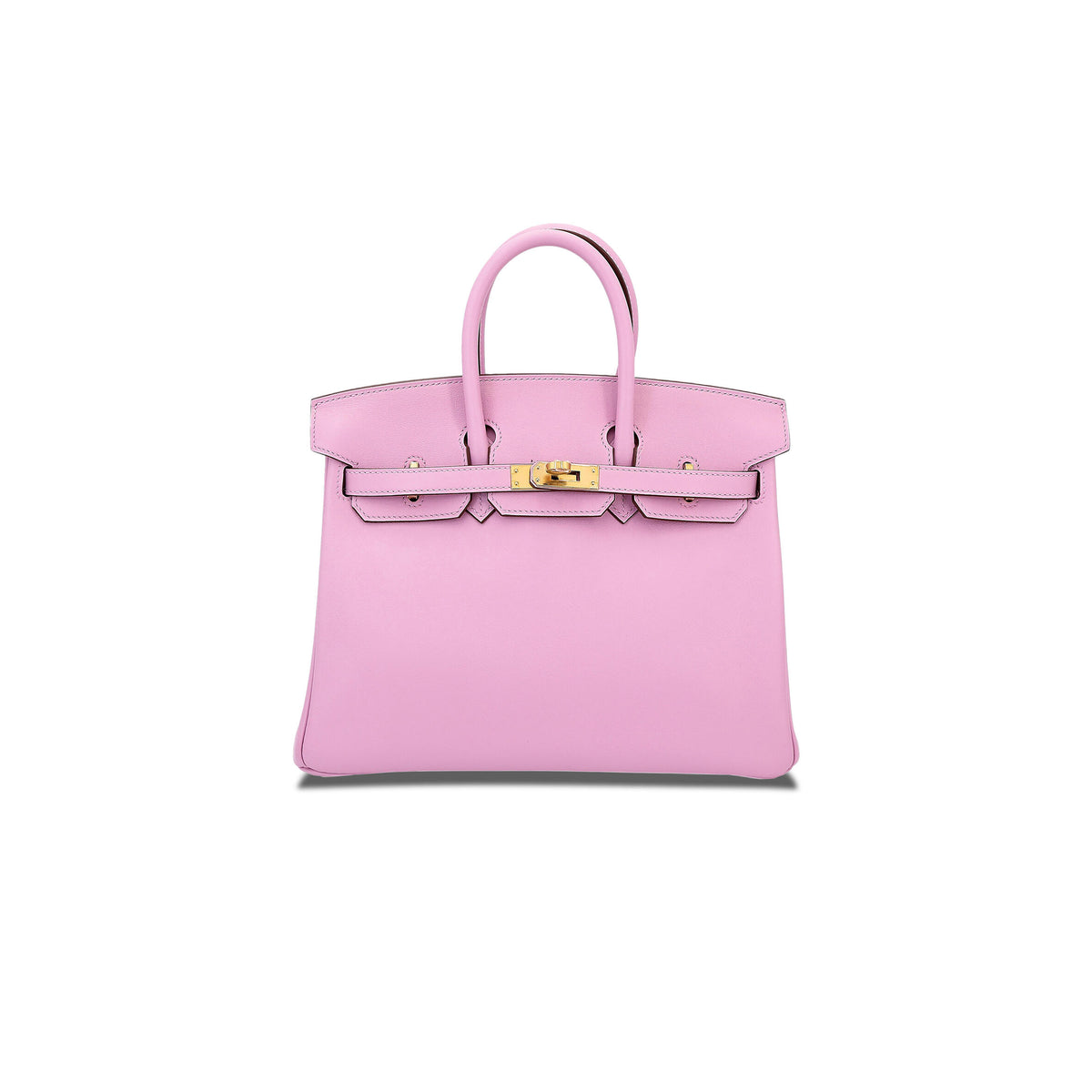 Birkin 25 Handbag