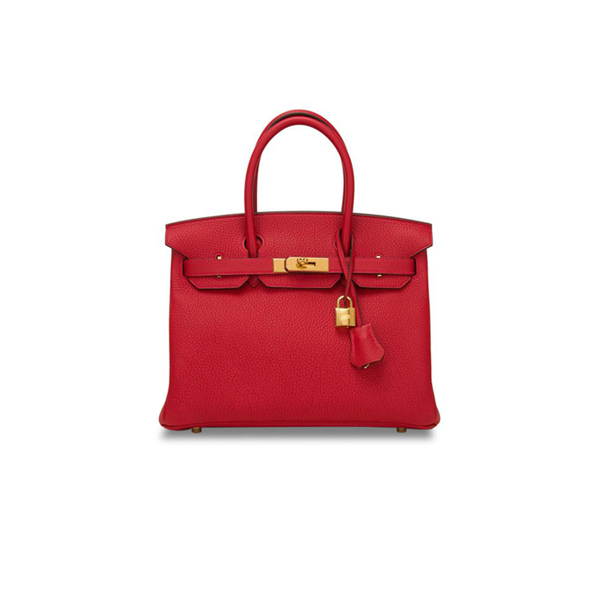 Birkin 25 Handbag