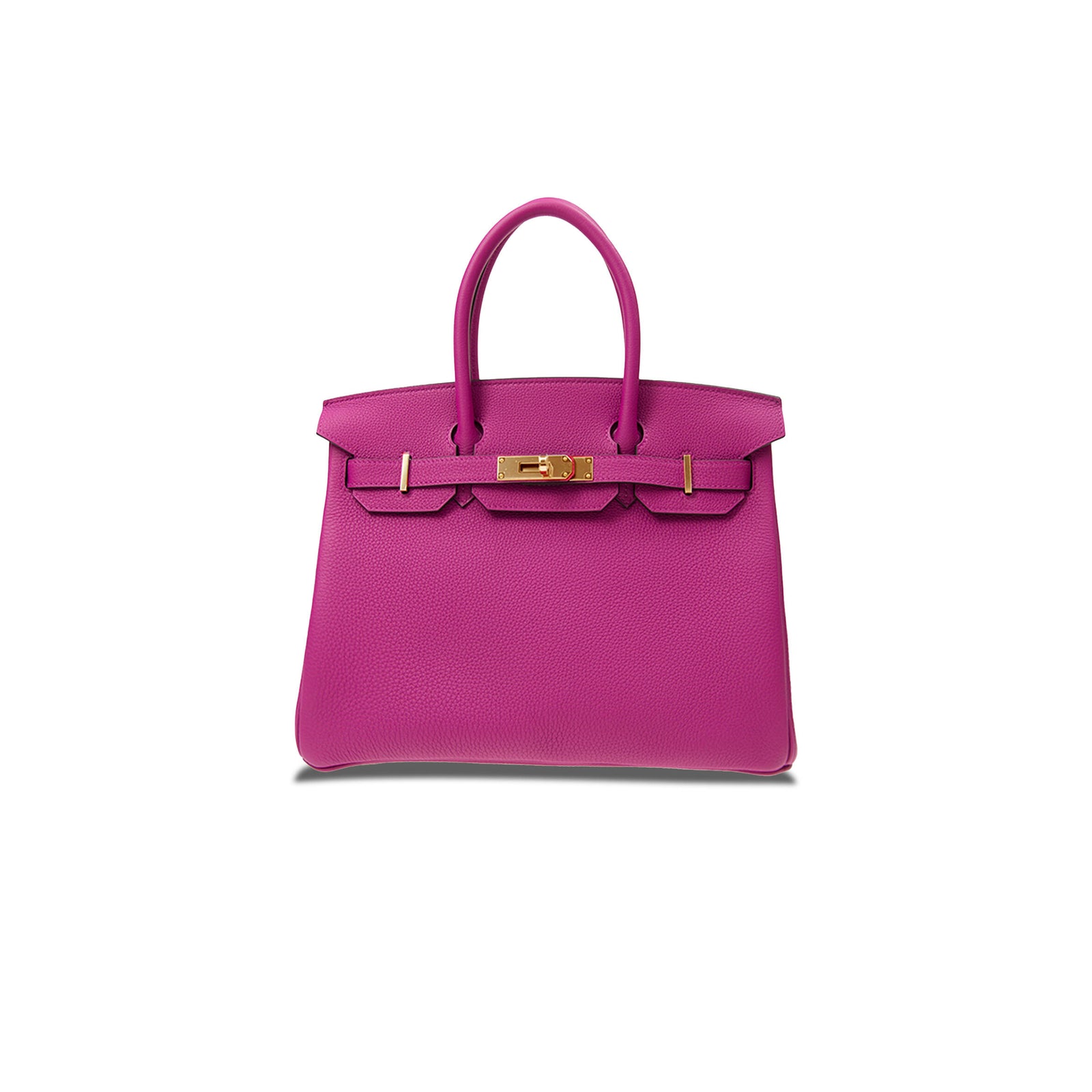 Birkin 25 Handbag