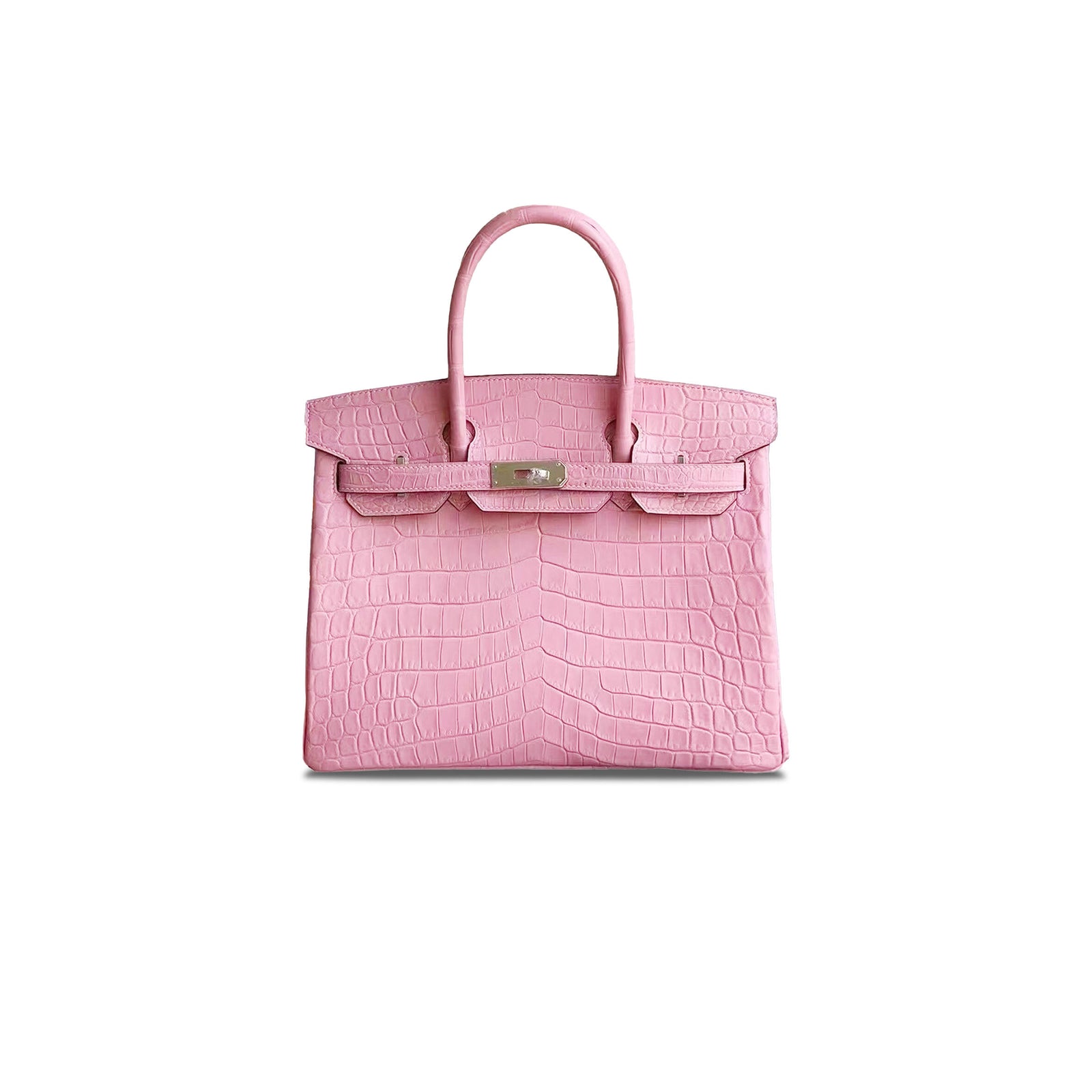 Birkin 20 Matte Alligator Handbag