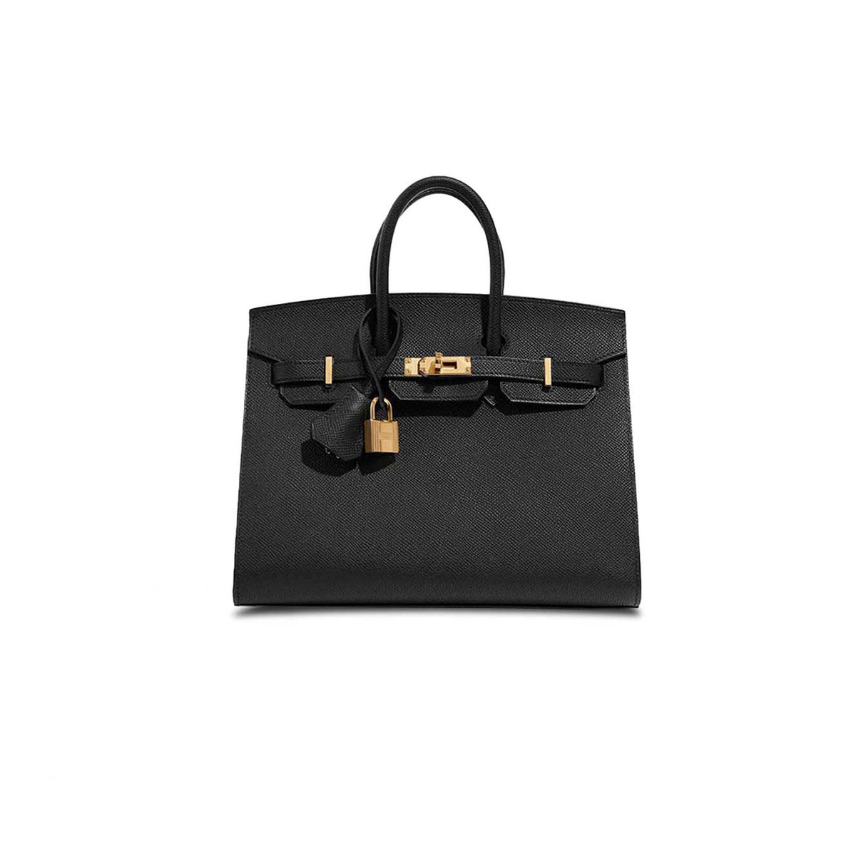 Birkin 25 Handbag