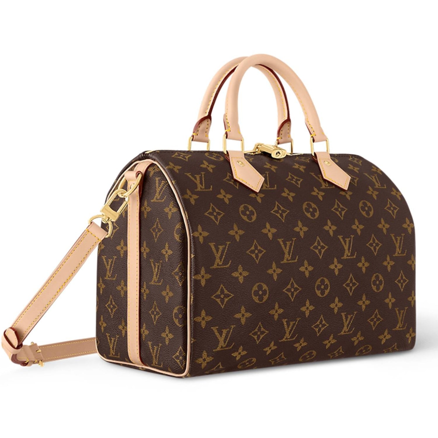 Speedy Bandouliere Monogram Canvas Bag