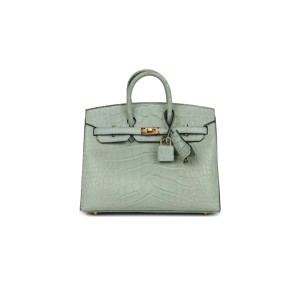 Birkin 20 Matte Alligator Handbag