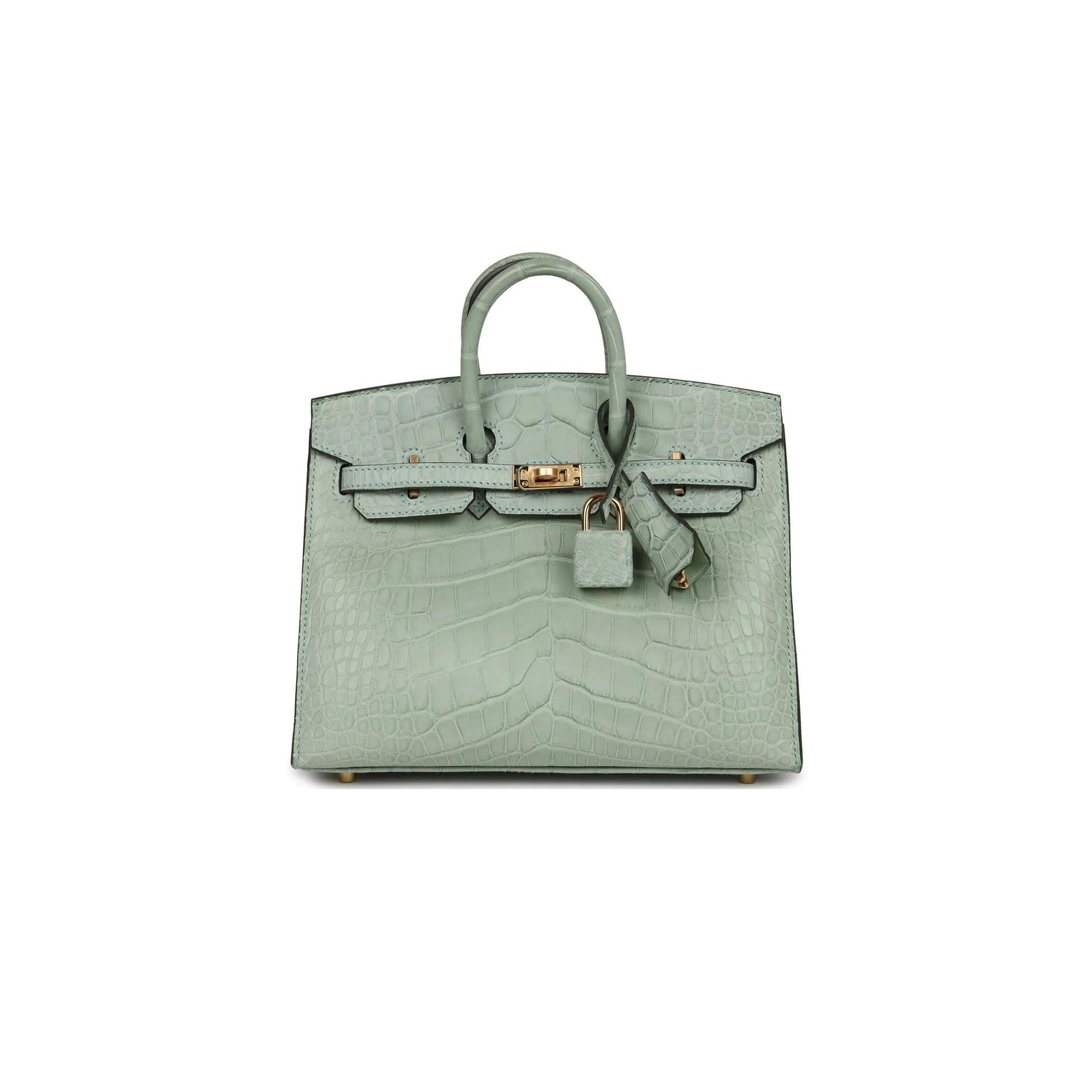 Birkin 20 Matte Alligator Handbag