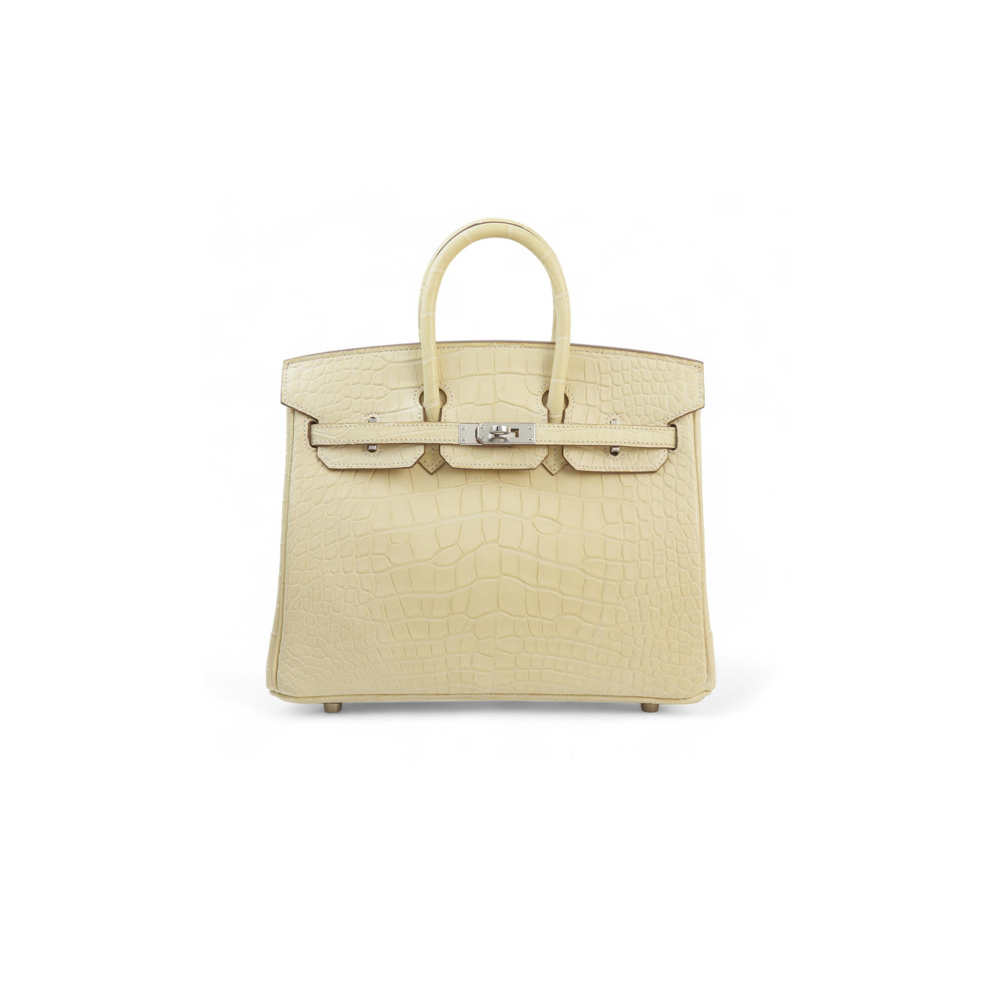 Birkin 20 Matte Alligator Handbag