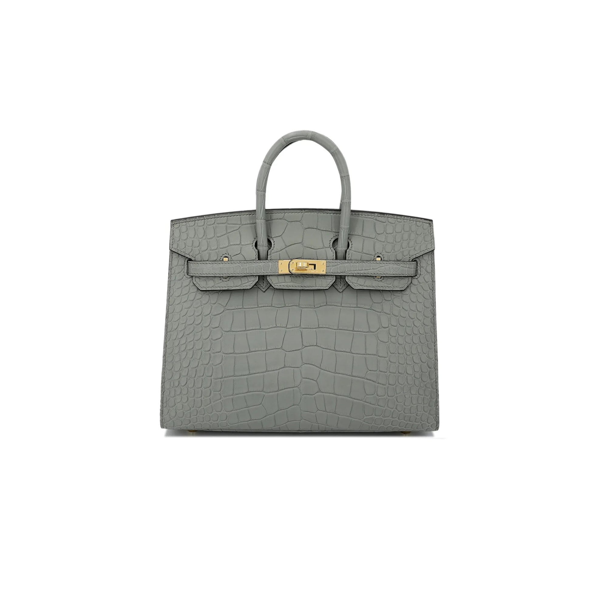 Birkin 20 Matte Alligator Handbag