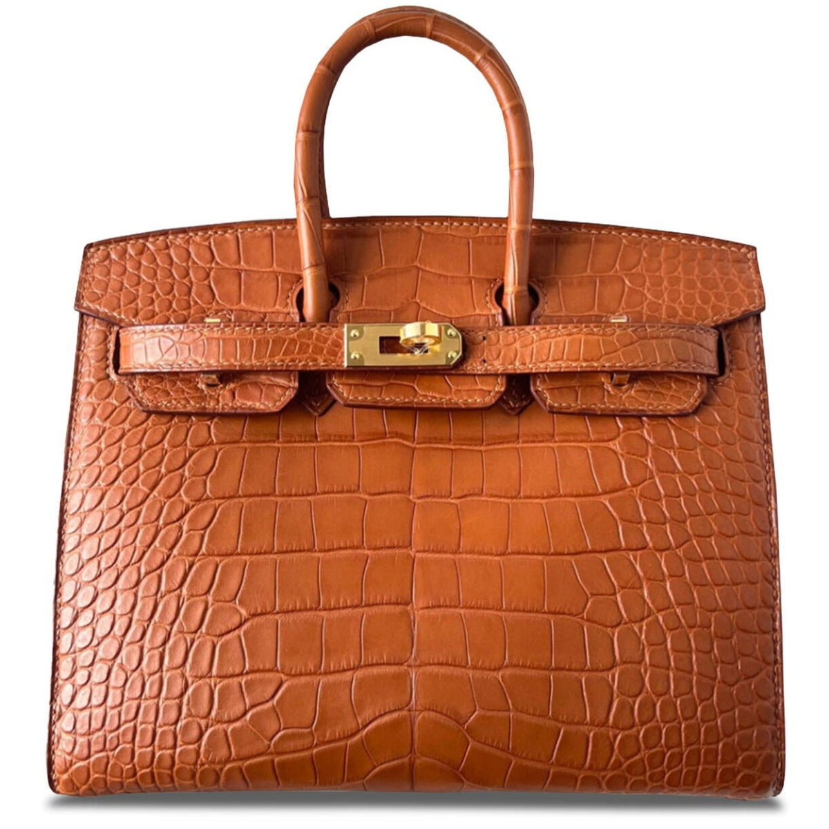Birkin 20 Matte Alligator Handbag