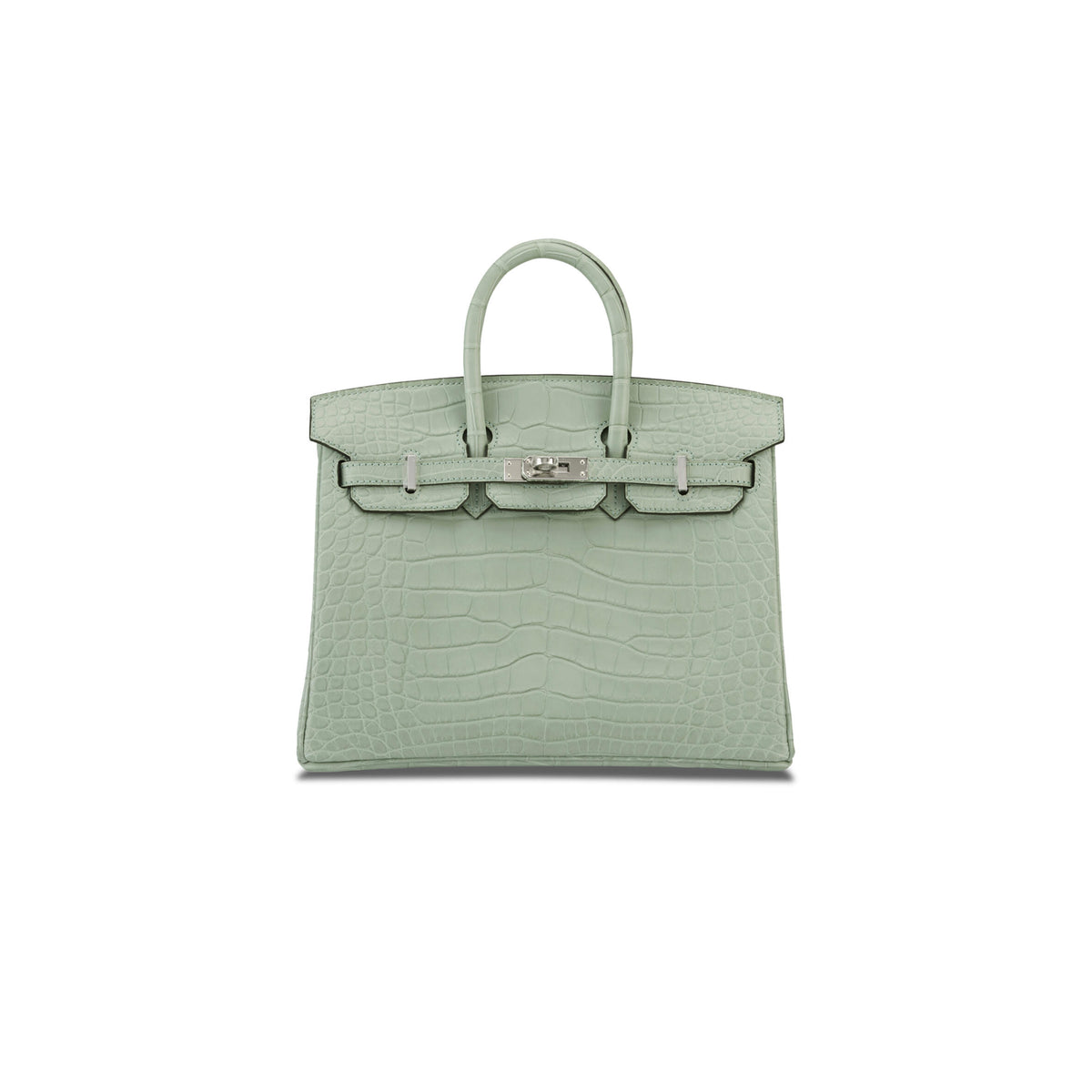 Birkin 20 Matte Alligator Handbag