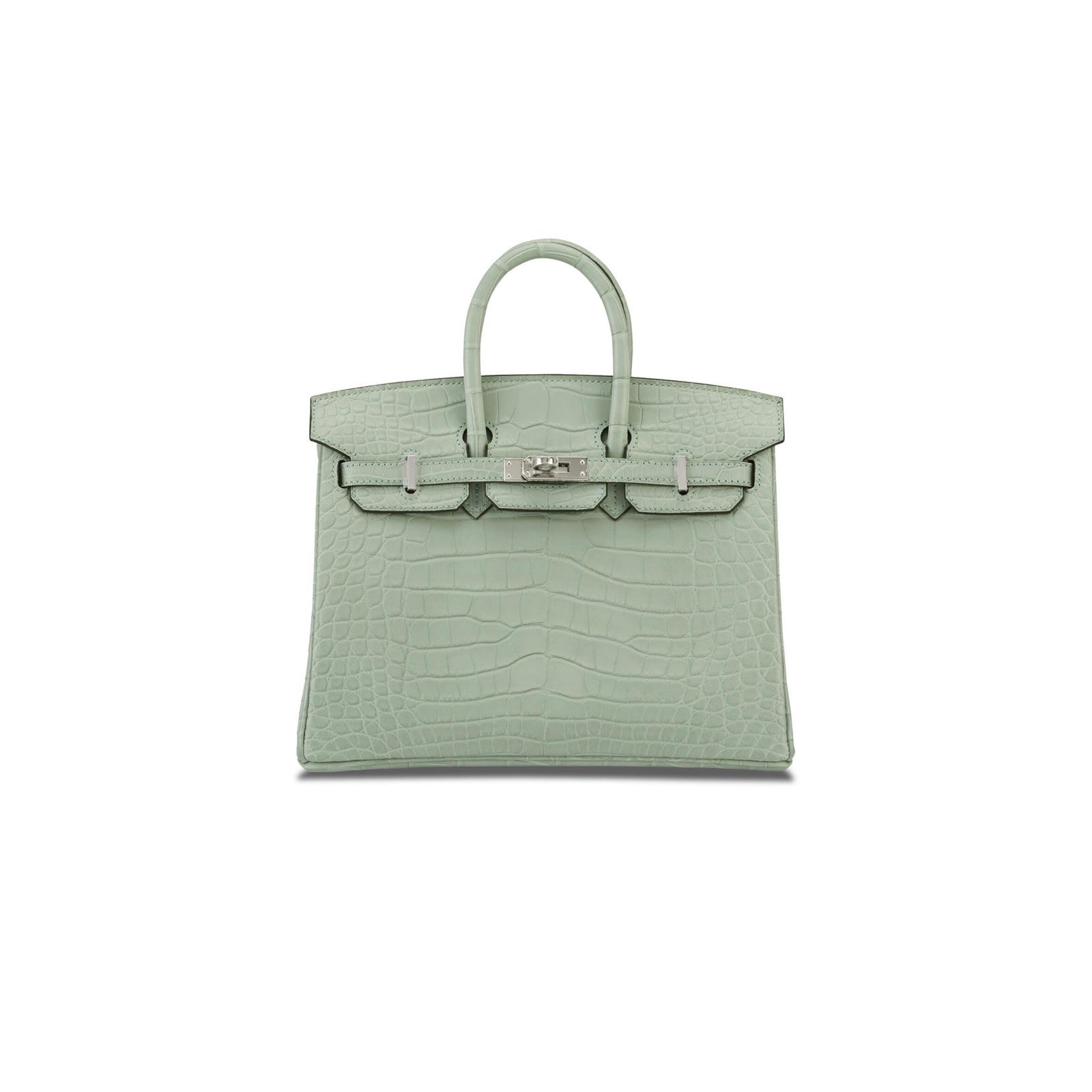 Birkin 20 Matte Alligator Handbag