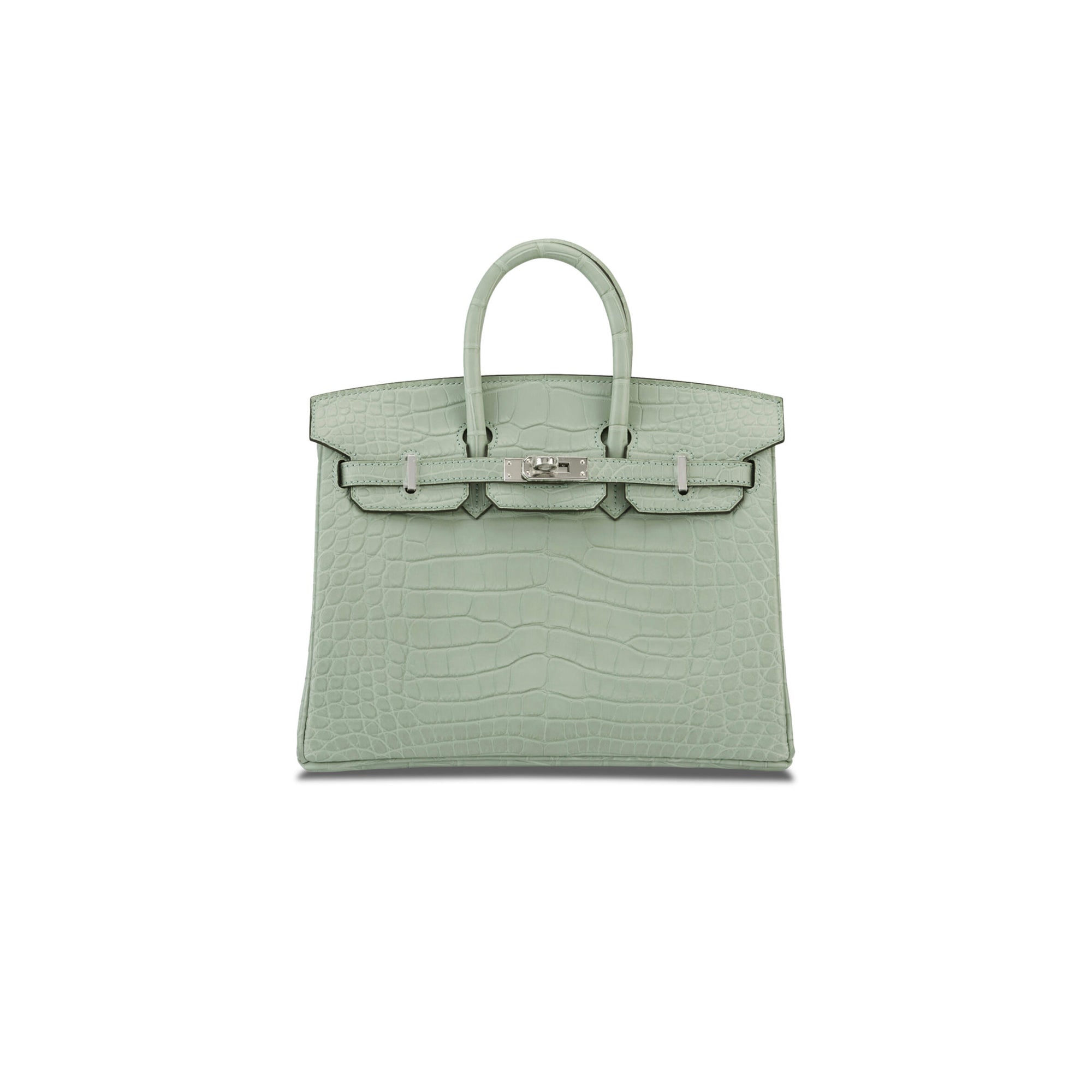 Birkin 20 Matte Alligator Handbag