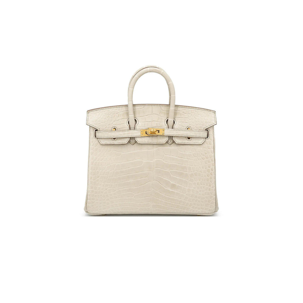Birkin 20 Matte Alligator Handbag
