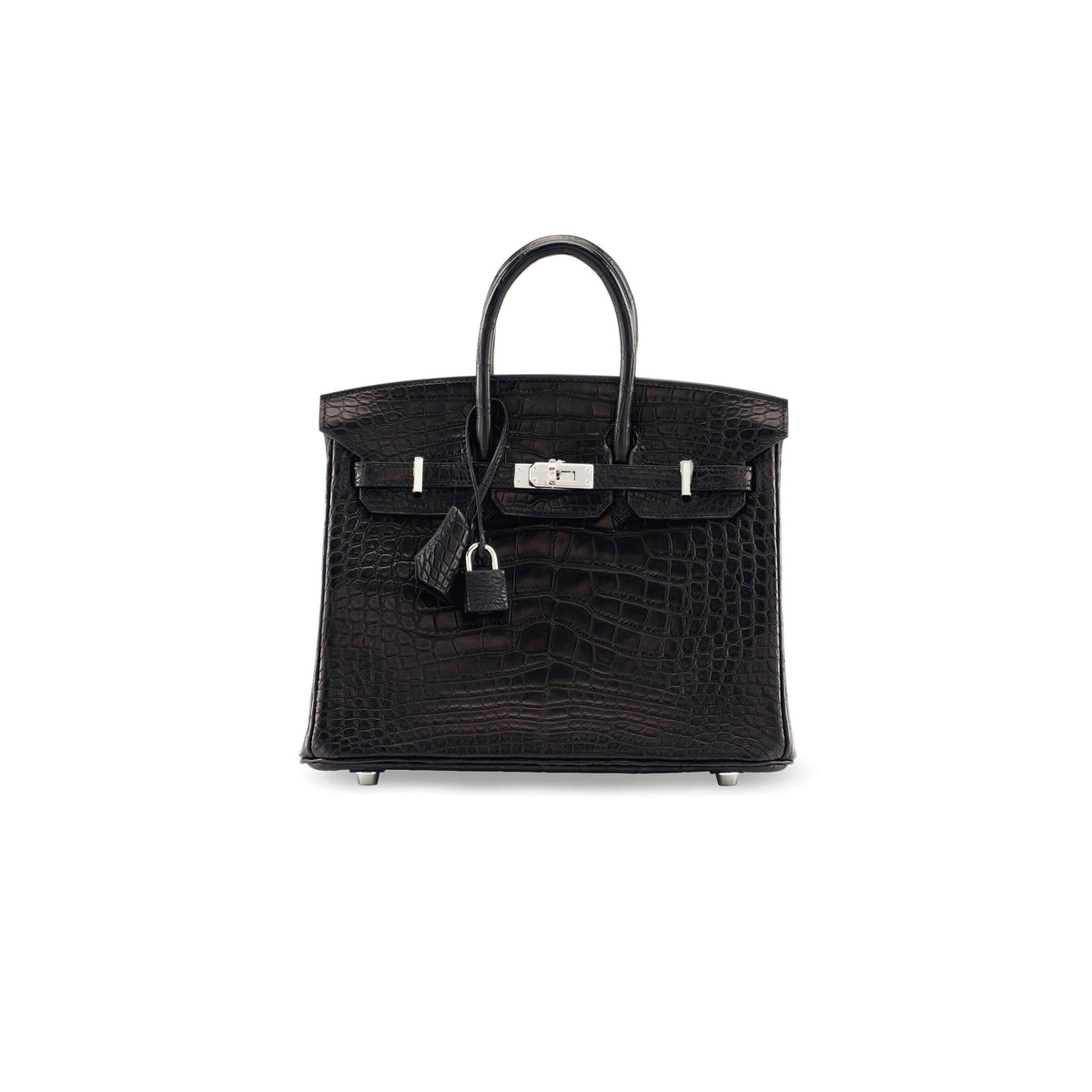 Birkin 20 Matte Alligator Handbag