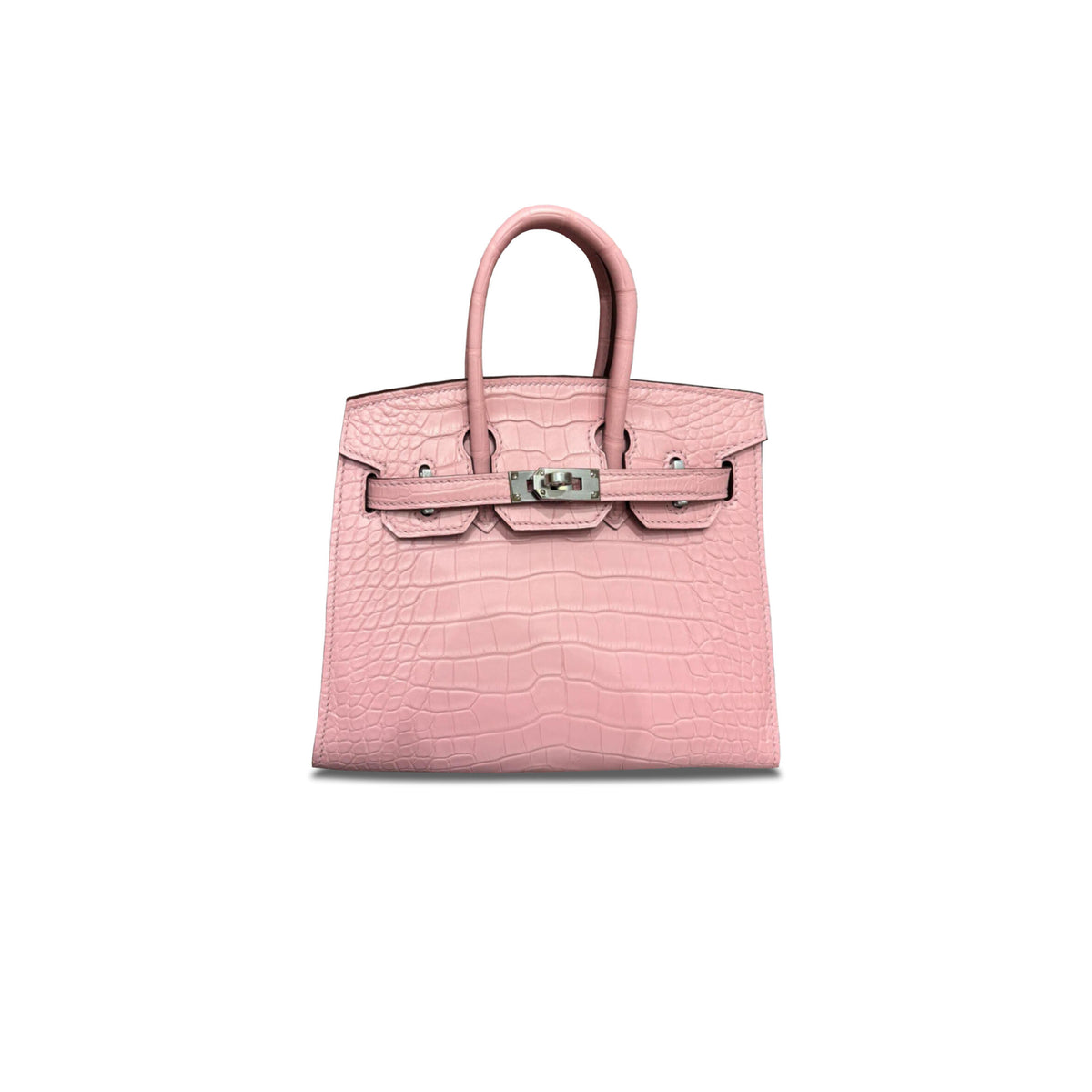 Birkin 20 Matte Alligator Handbag