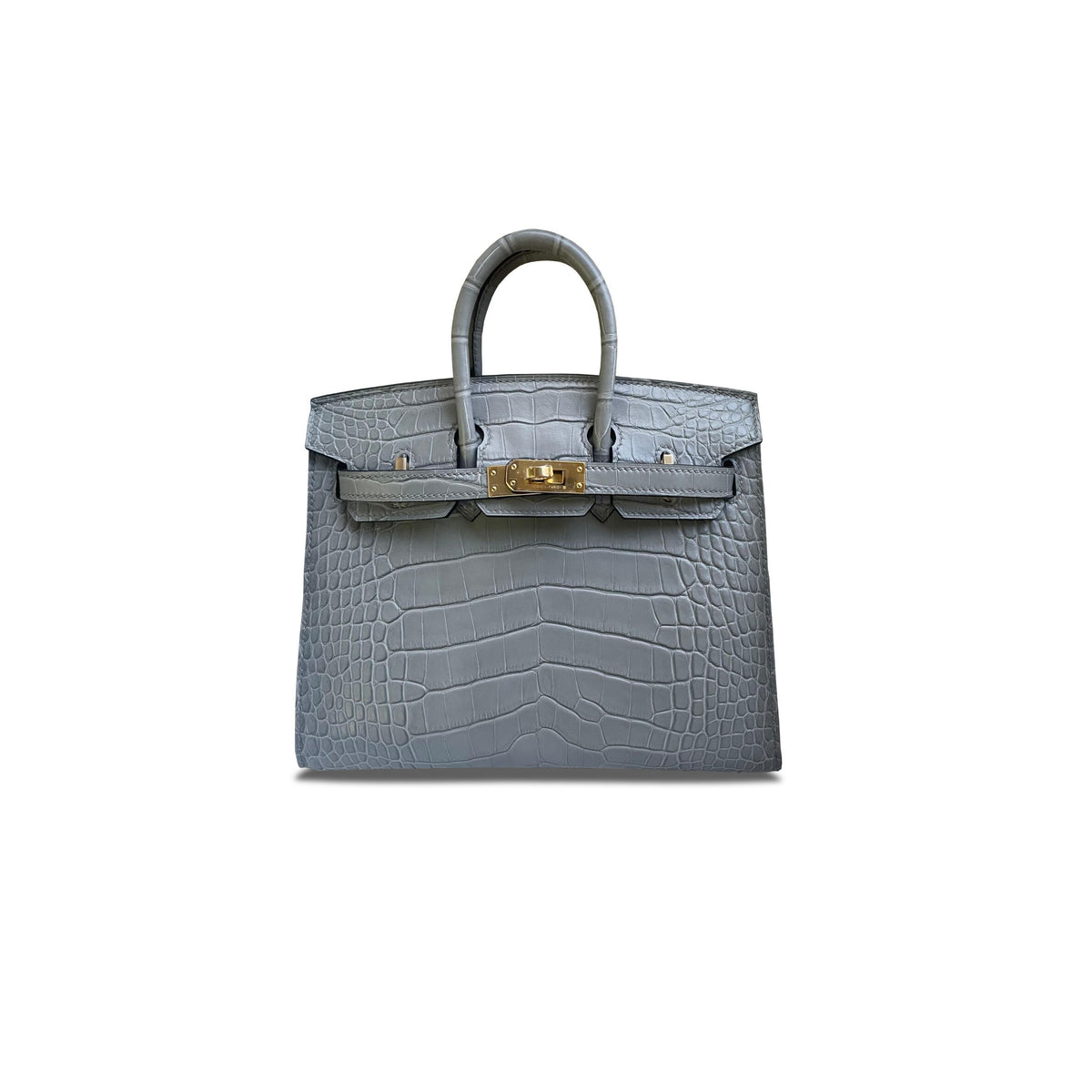 Birkin 20 Matte Alligator Handbag