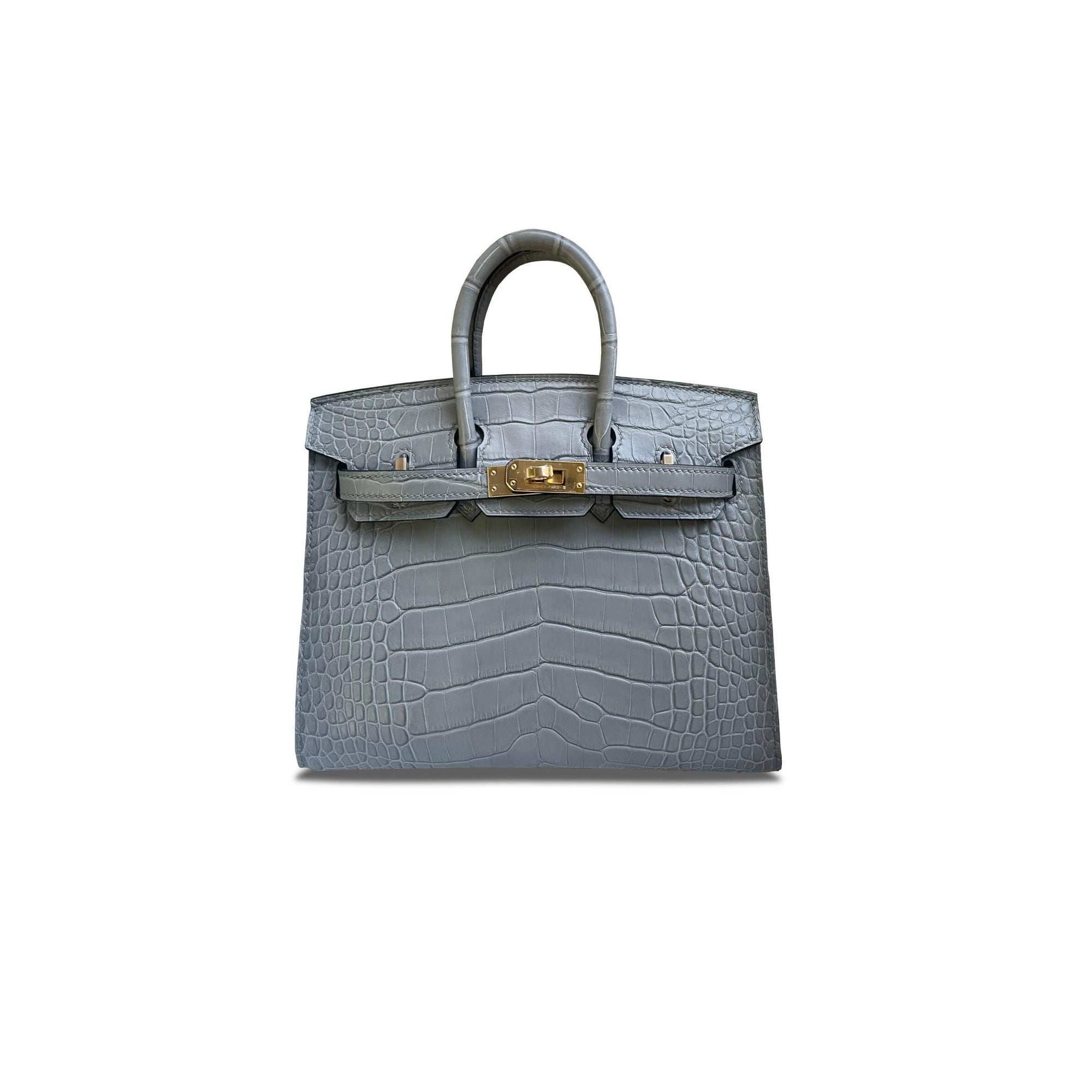 Birkin 20 Matte Alligator Handbag