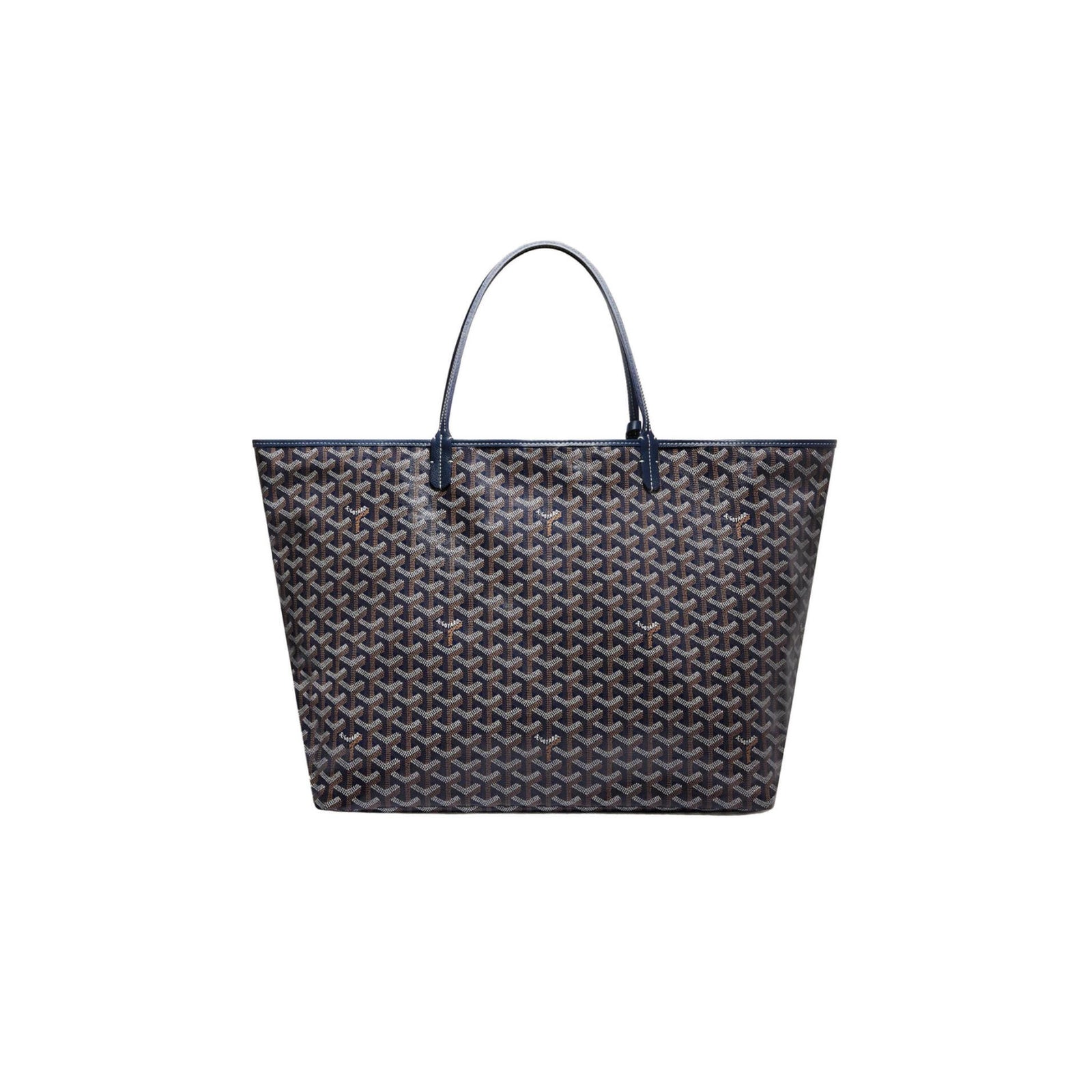 Saint Louis Tote GM Bag