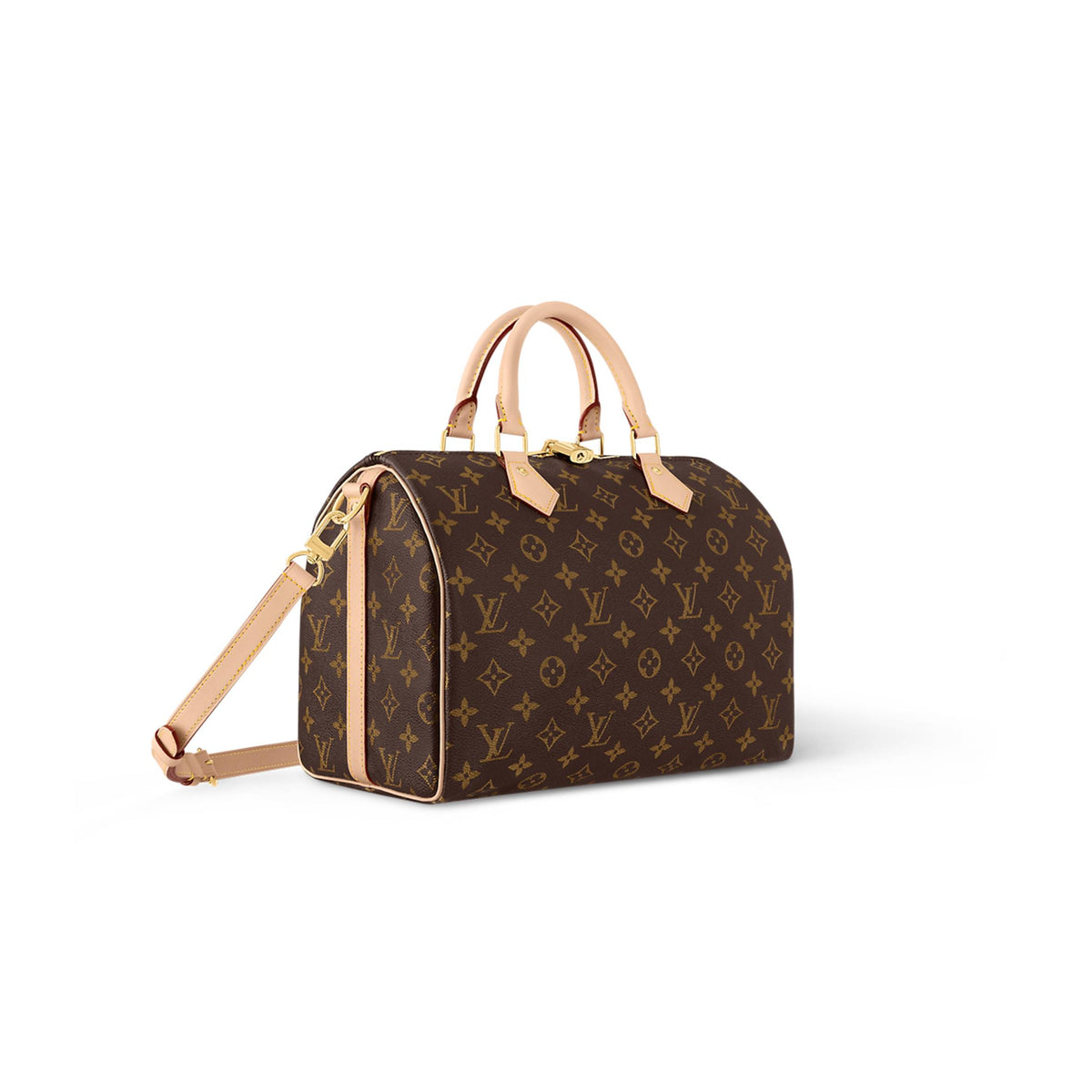 Speedy Bandouliere Monogram Canvas Bag